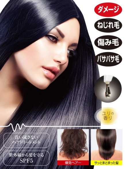 販売終了 艶髪の休日 ヘアスタイリスト 星山尚子 専門家プロデュースのプロイデア